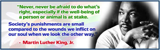 Martin Luther King - Custom Banner - Famous Quotes